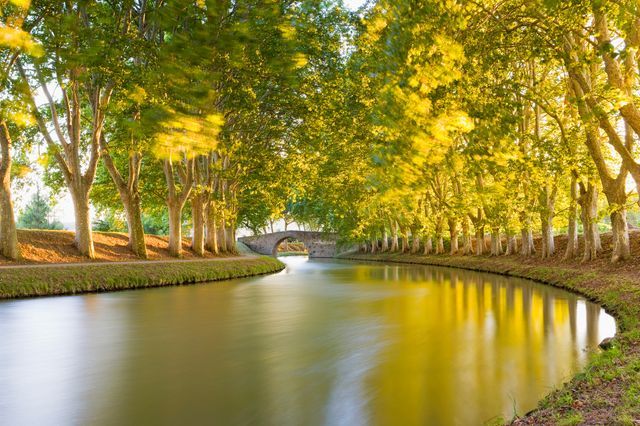 Photo : Canal du midi