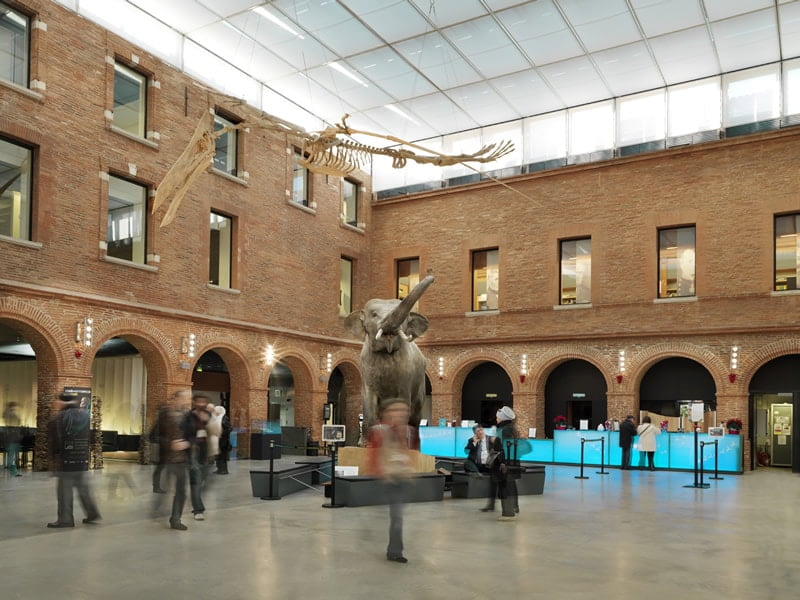 20. Museum De Toulouse