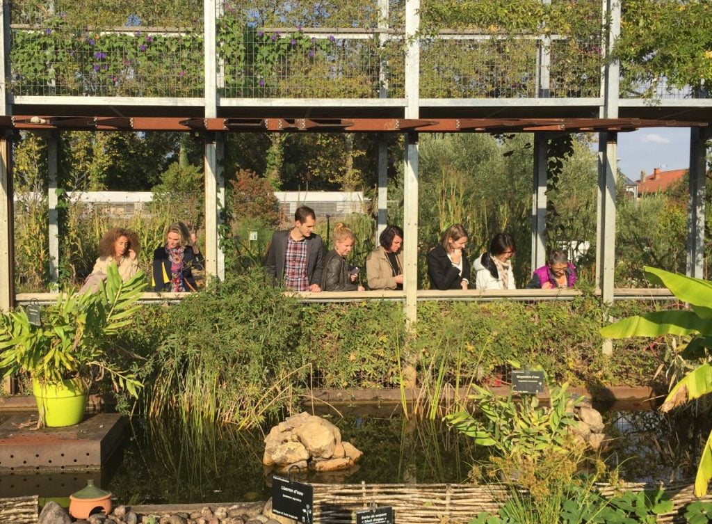 25. Jardin Des Museums