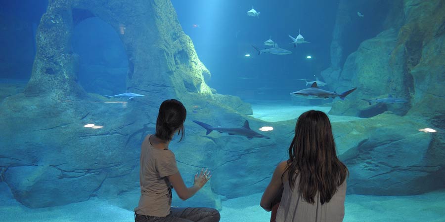 Aquariulm Biarritz