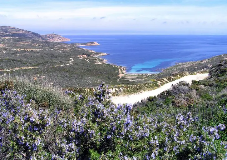Plage De L'alga