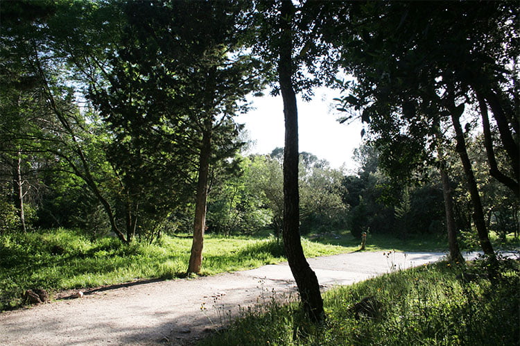 Bois De Montmaur