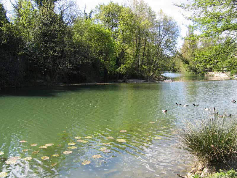 Fleuve Le Lez Montpellier