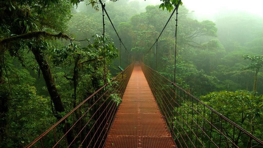 Foret Nuages Monteverde