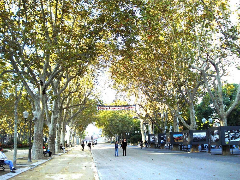 Jardin Champs De Mars Montpellier
