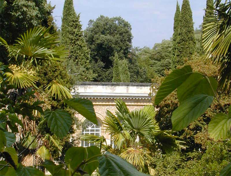 Jardin Des Plantes