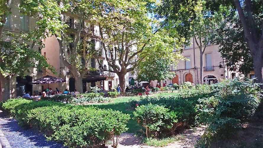 Place Canourgue Montpellier