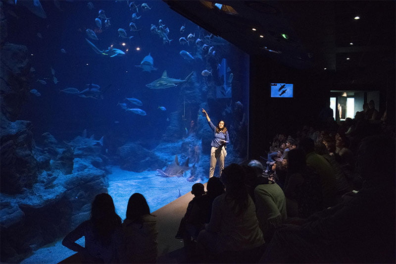 Planet Ocean Montpellier