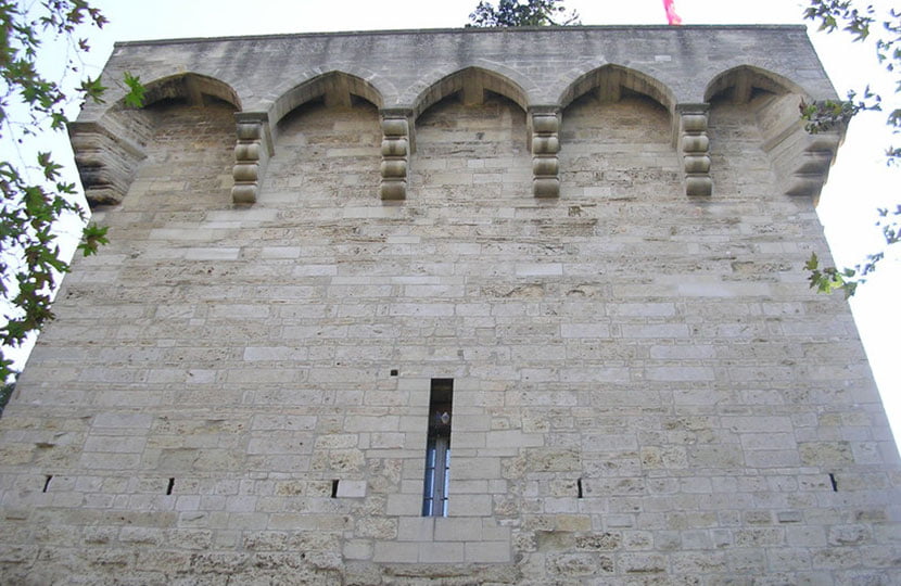 Tour Des Pins