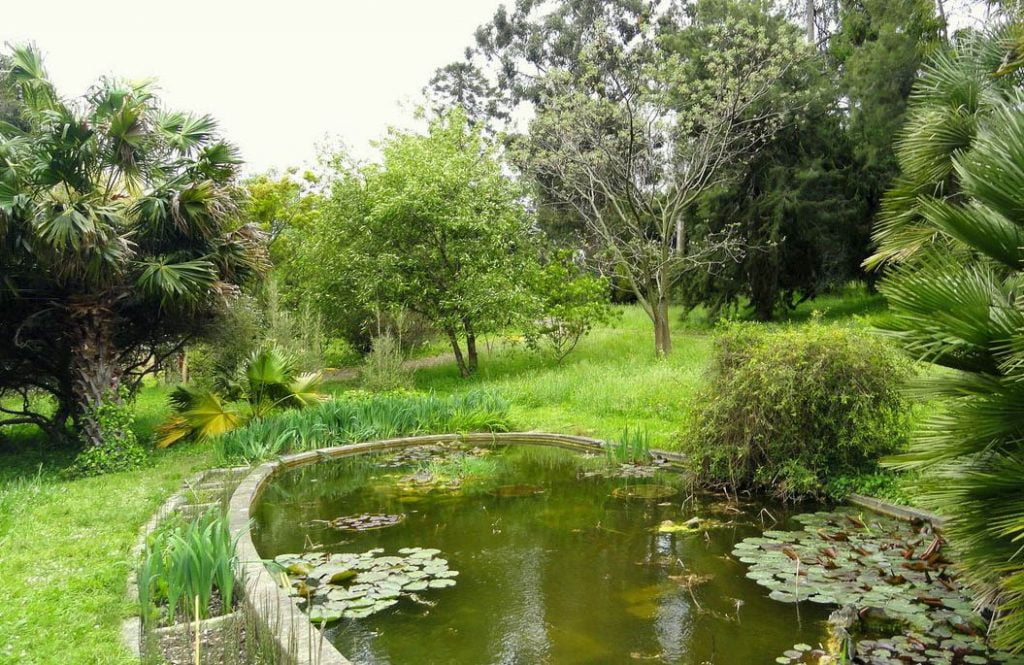 Le Jardin Botanique De La Villa Thuret © Wikipedia