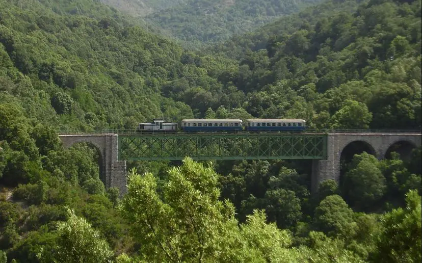 Petit Train Vert
