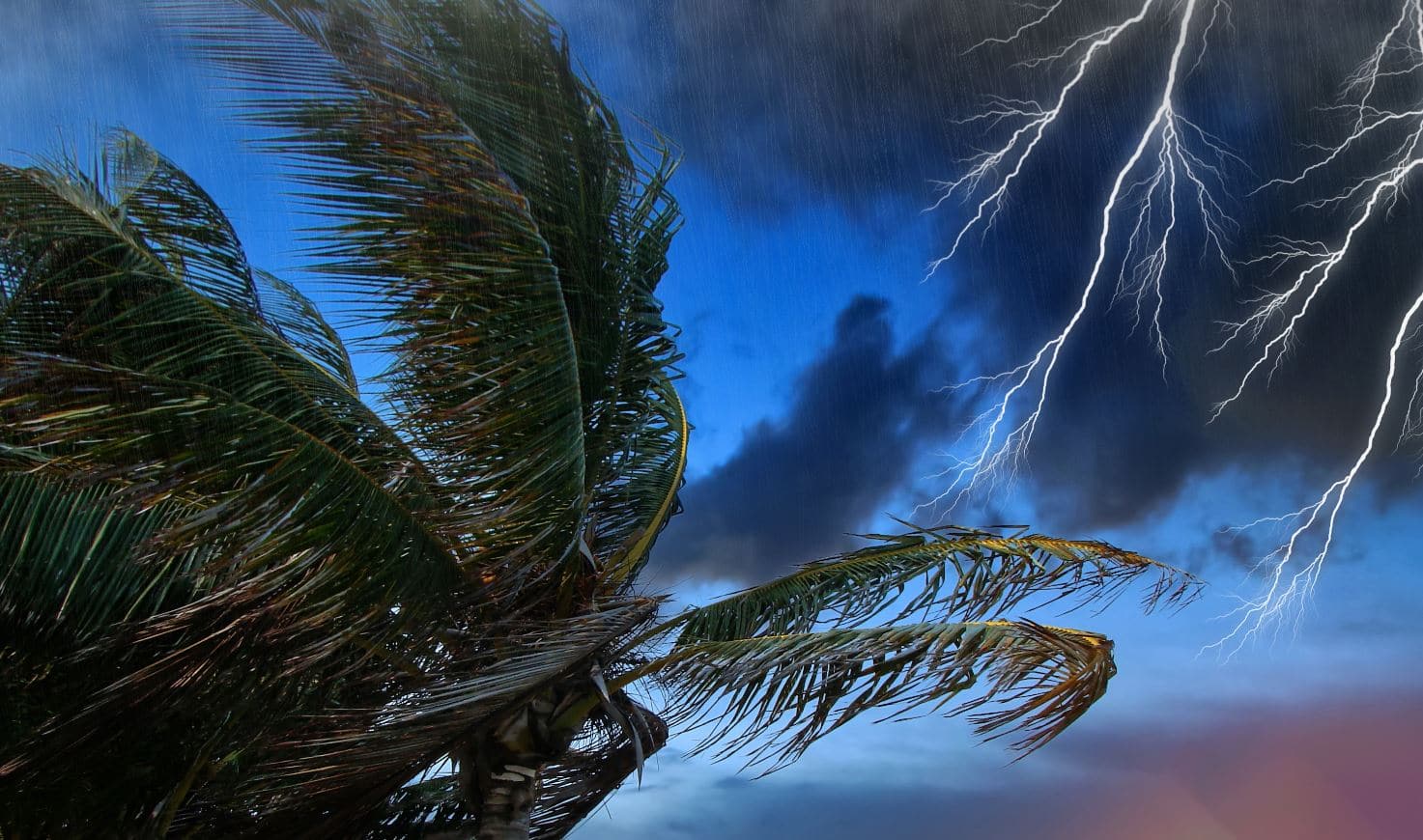 Pluie Antilles