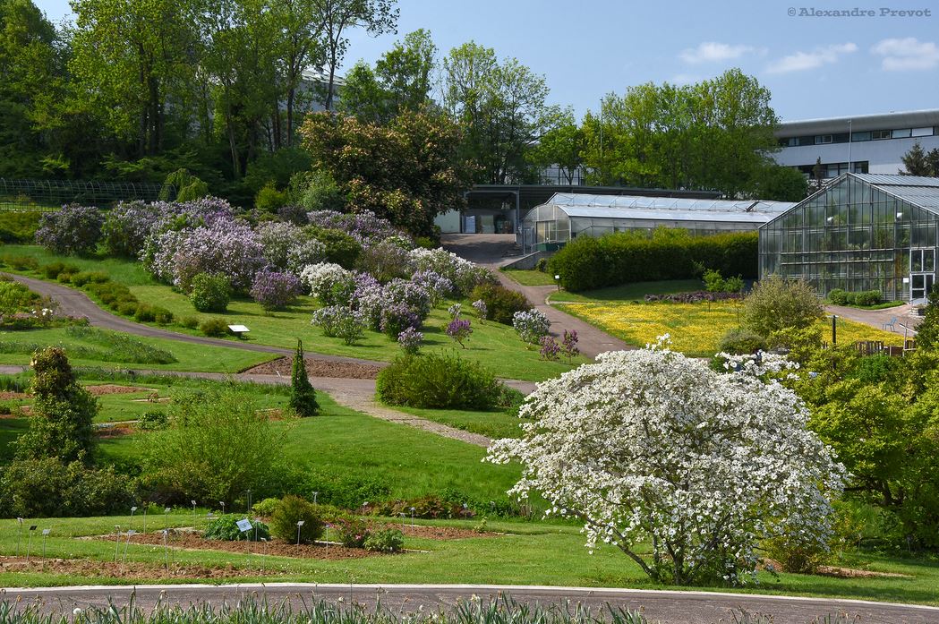 Jardin Botanique Jean Marie Pelt © Flickr Alexandre Prevot