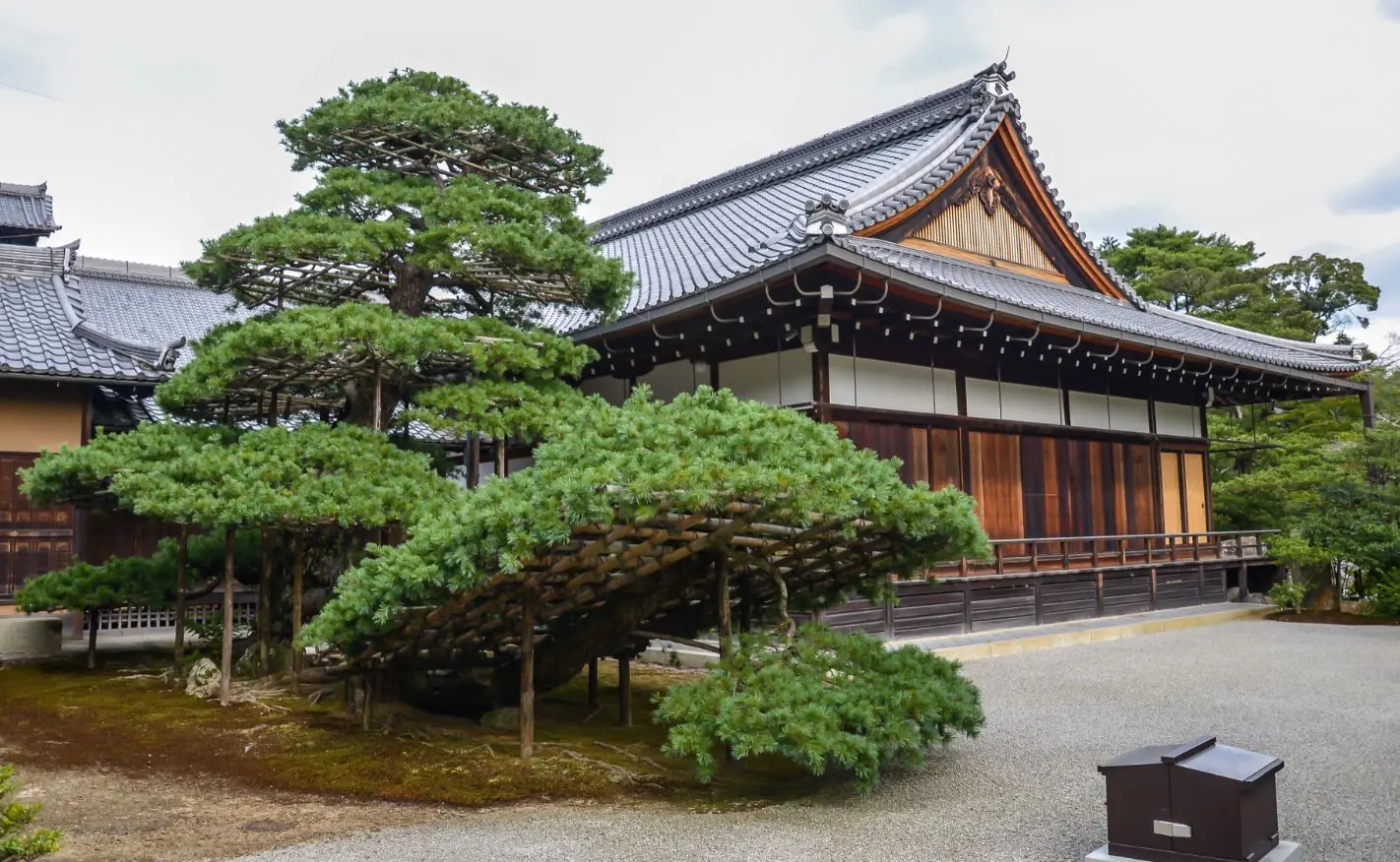 Kinkaku Ji