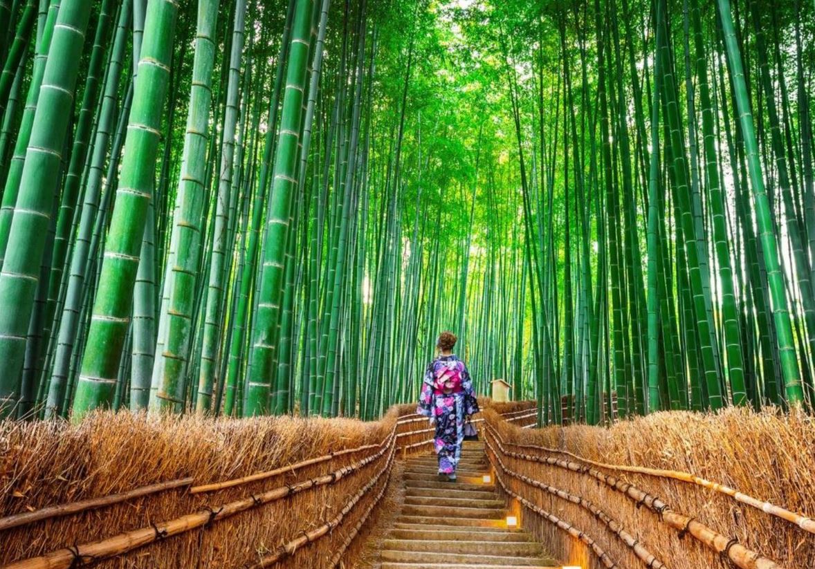 Arashiyama