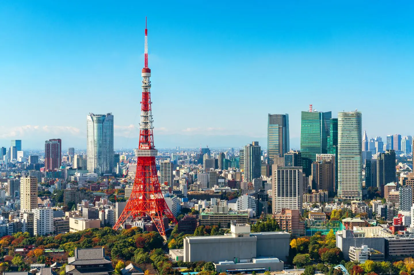 Tour De Tokyo