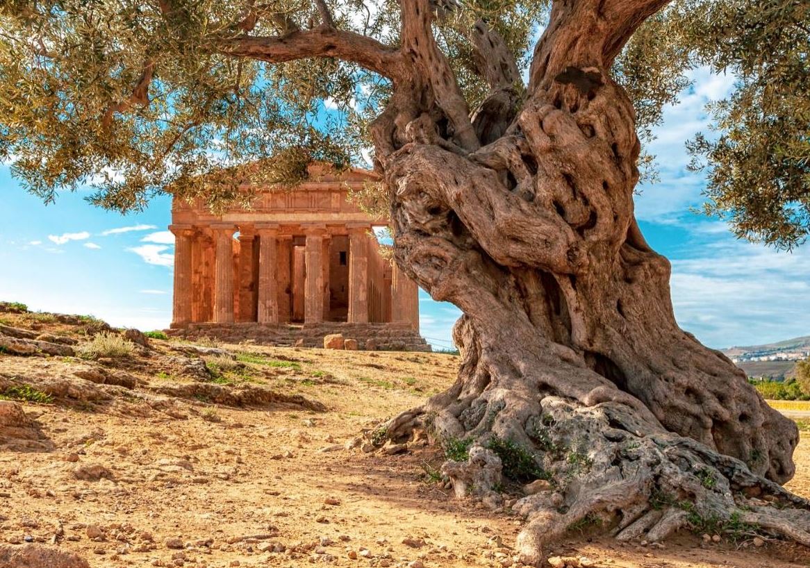 Vallée Des Temples