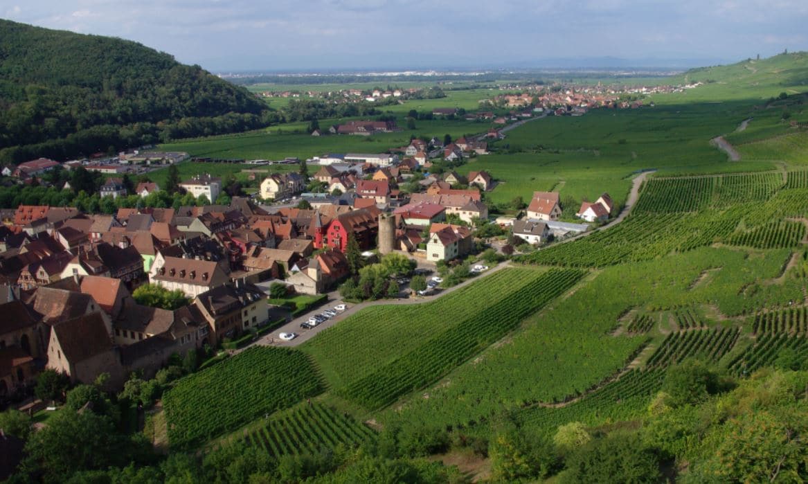 Route Des Vins