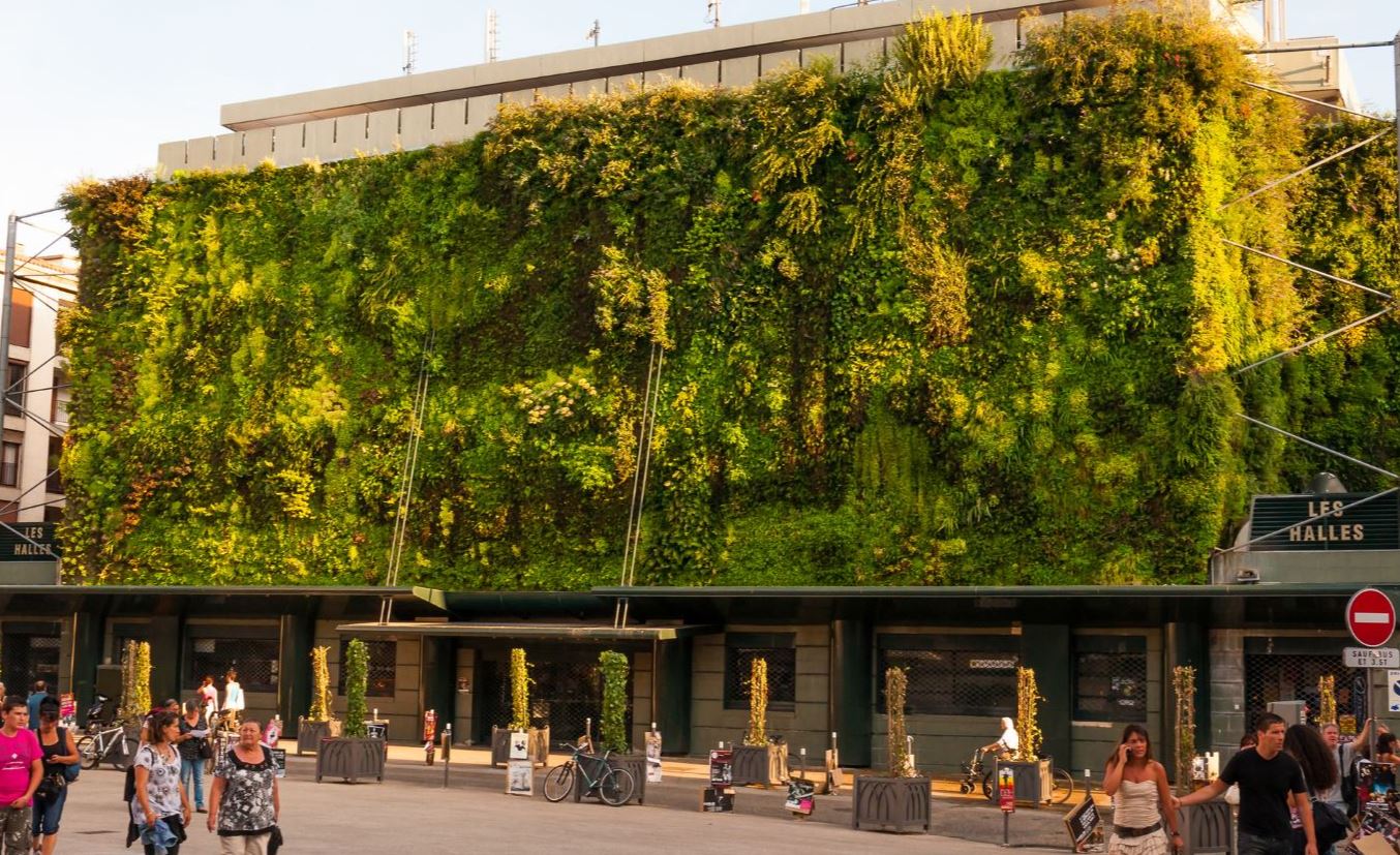Halles Avignon