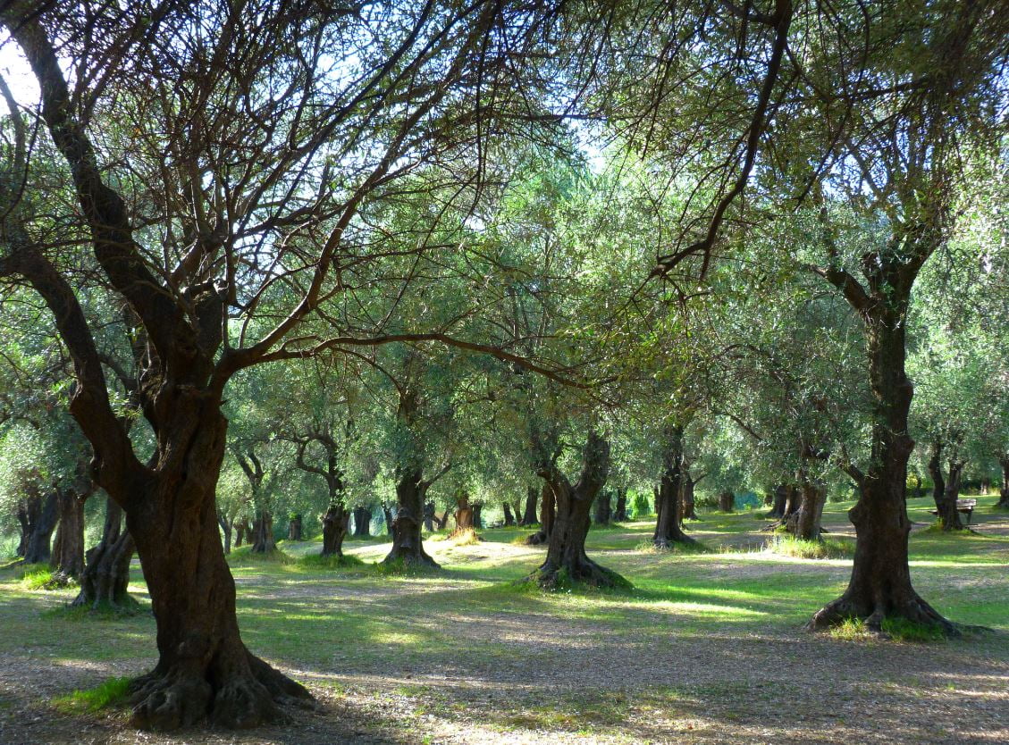 Menton Parc Du Pian