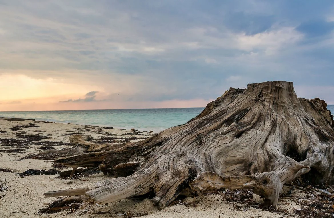Cayo Levisa