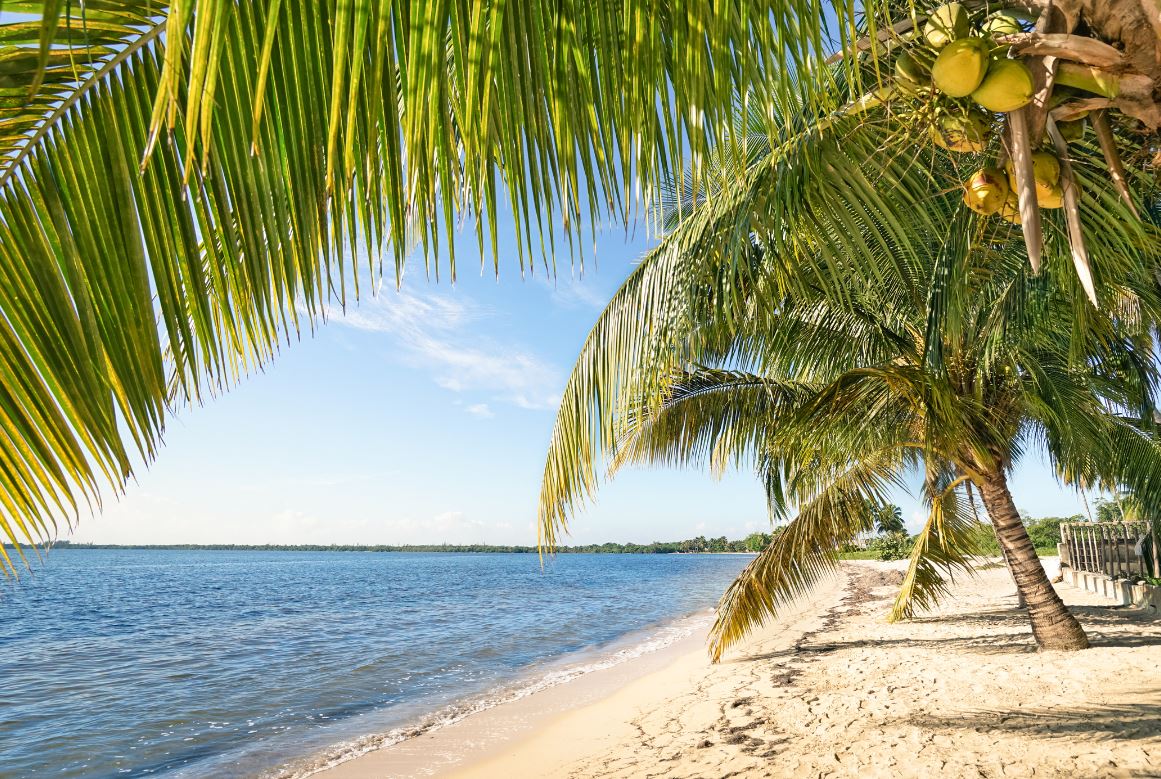 Cuba Climat Quand Partir Plage