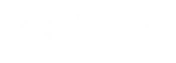 Logo Terre Sans Avion(1)