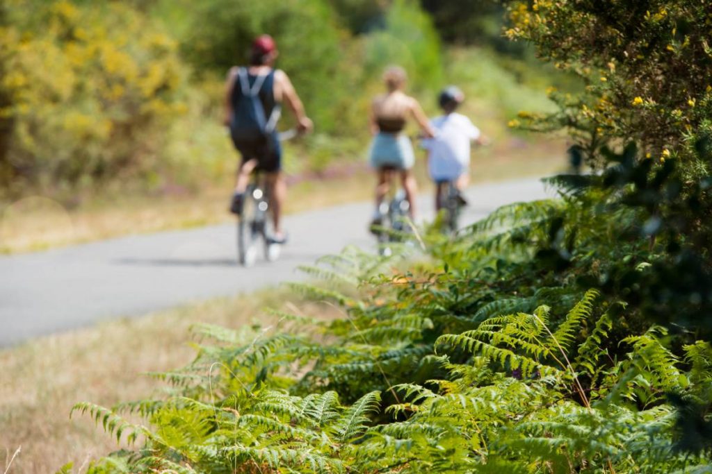 Camping Landes