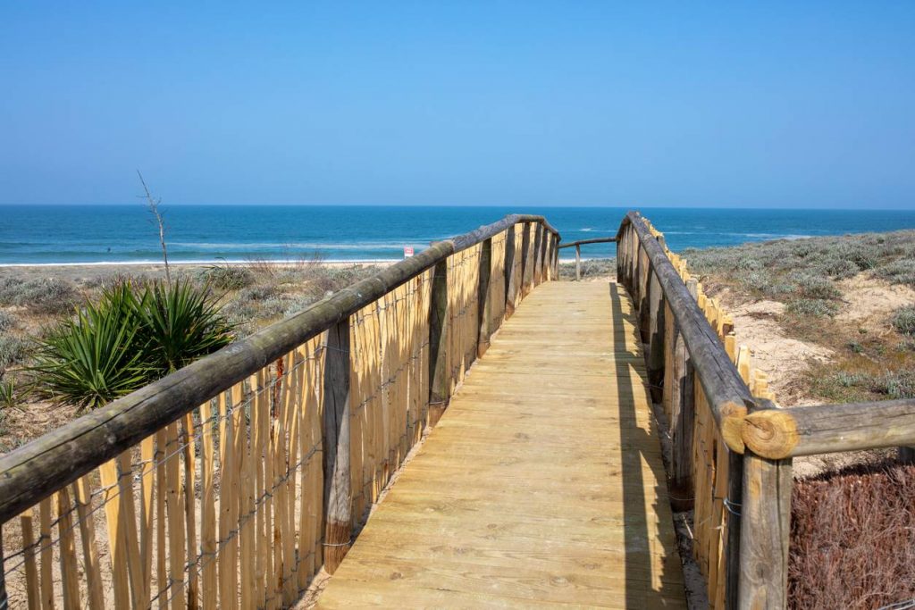 Semaine Dans Les Landes 
