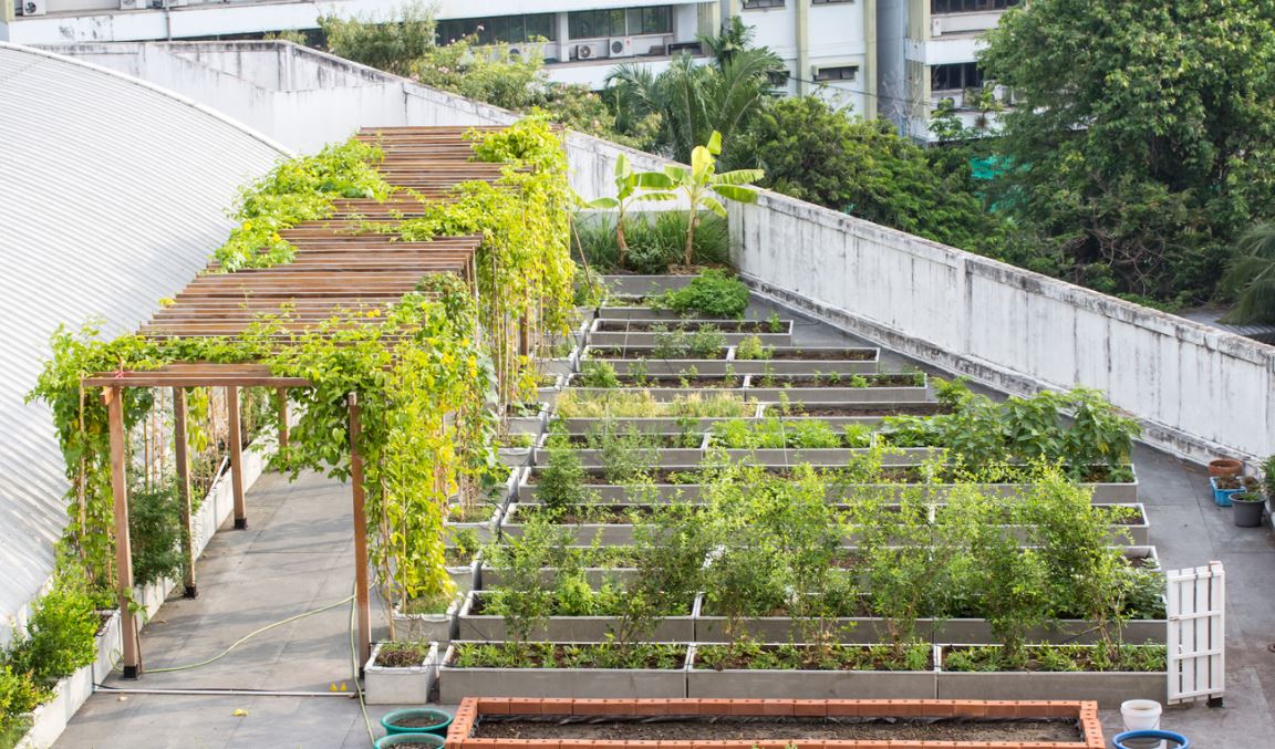 Jardin Suspendu Toit Végétal