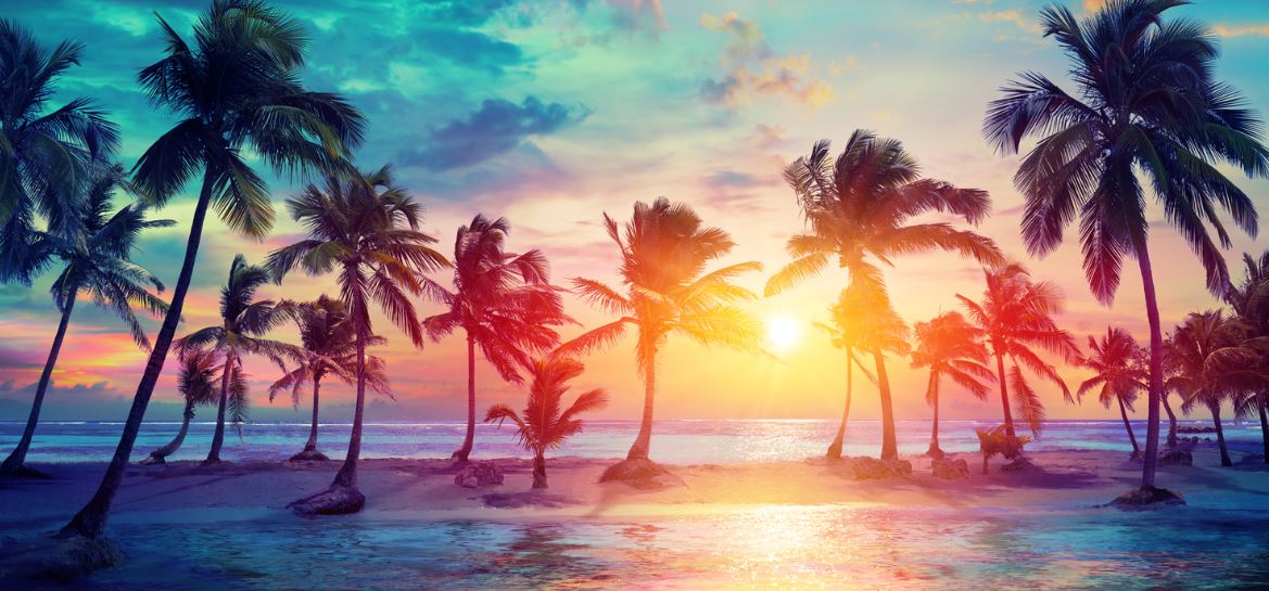 Voyage Dom Tomplage
