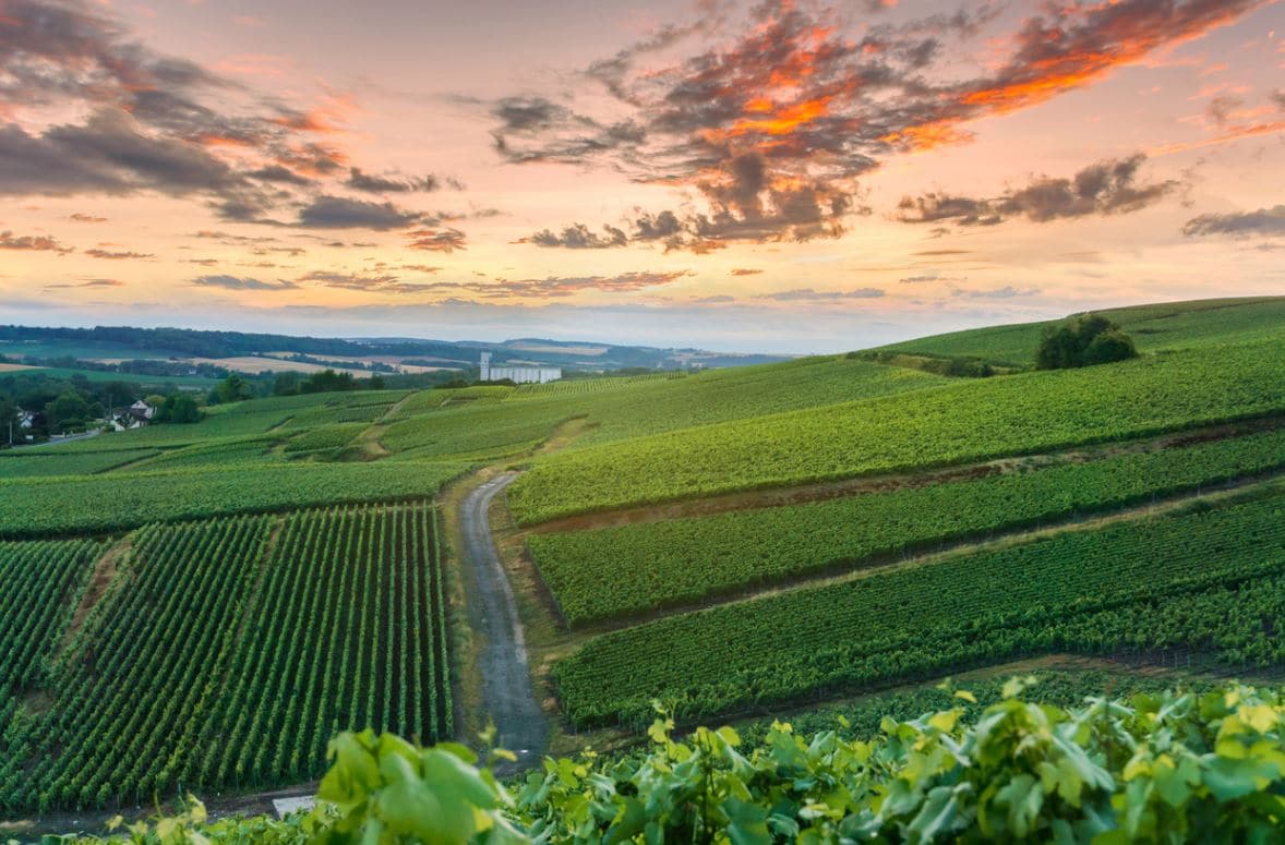 La route du Champagne la découverte d'une région effervescente