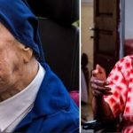 Doyen Doyenne Français