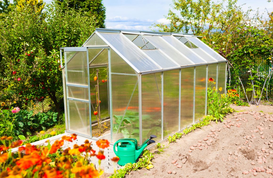 Choisir Serre De Jardin
