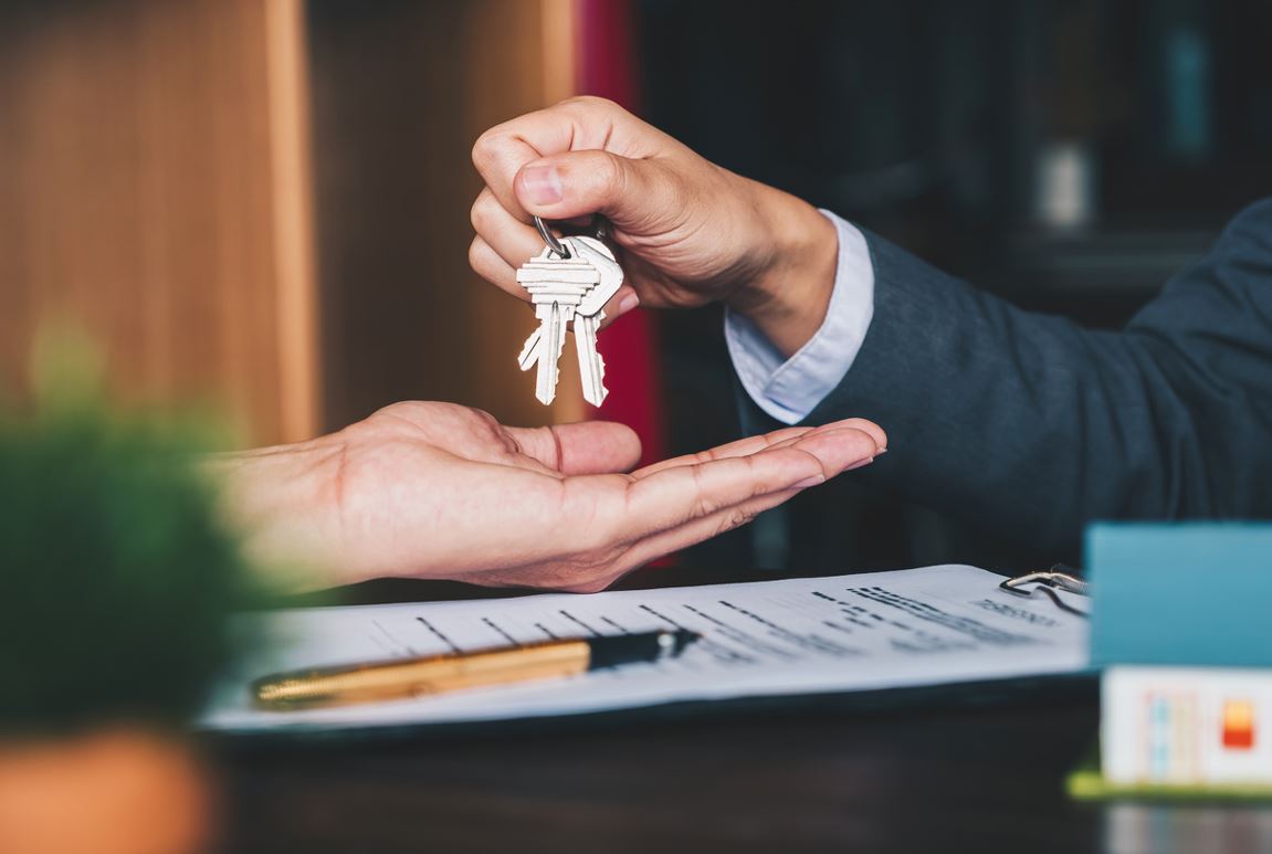 Location Immobilier