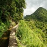 Martinique Randonnée