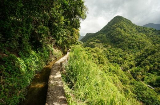 Martinique Randonnée