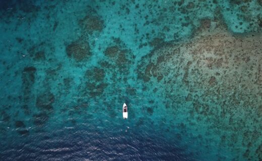 Plongée Martinique