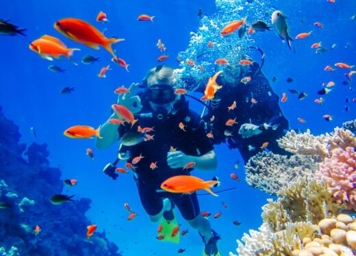 Plongée Sous Marine La Réunion