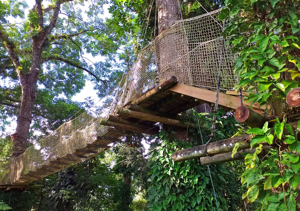 Randonnée Martinique