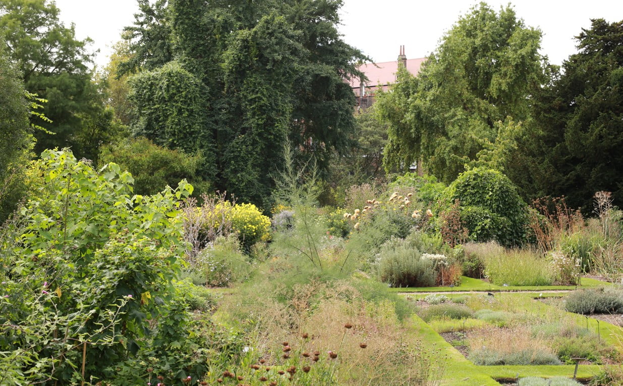 Chelsea Physic Garden
