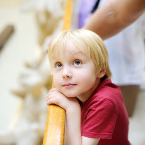 Petit garçon regardant l’exposition dans un musee
