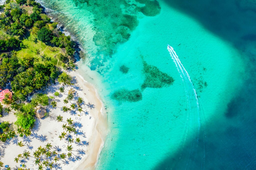 Vue aérienne de drone de belle île tropicale des Caraïbes Cayo Levantado plage avec des paumes et le bateau. Bacardi Island, République dominicaine