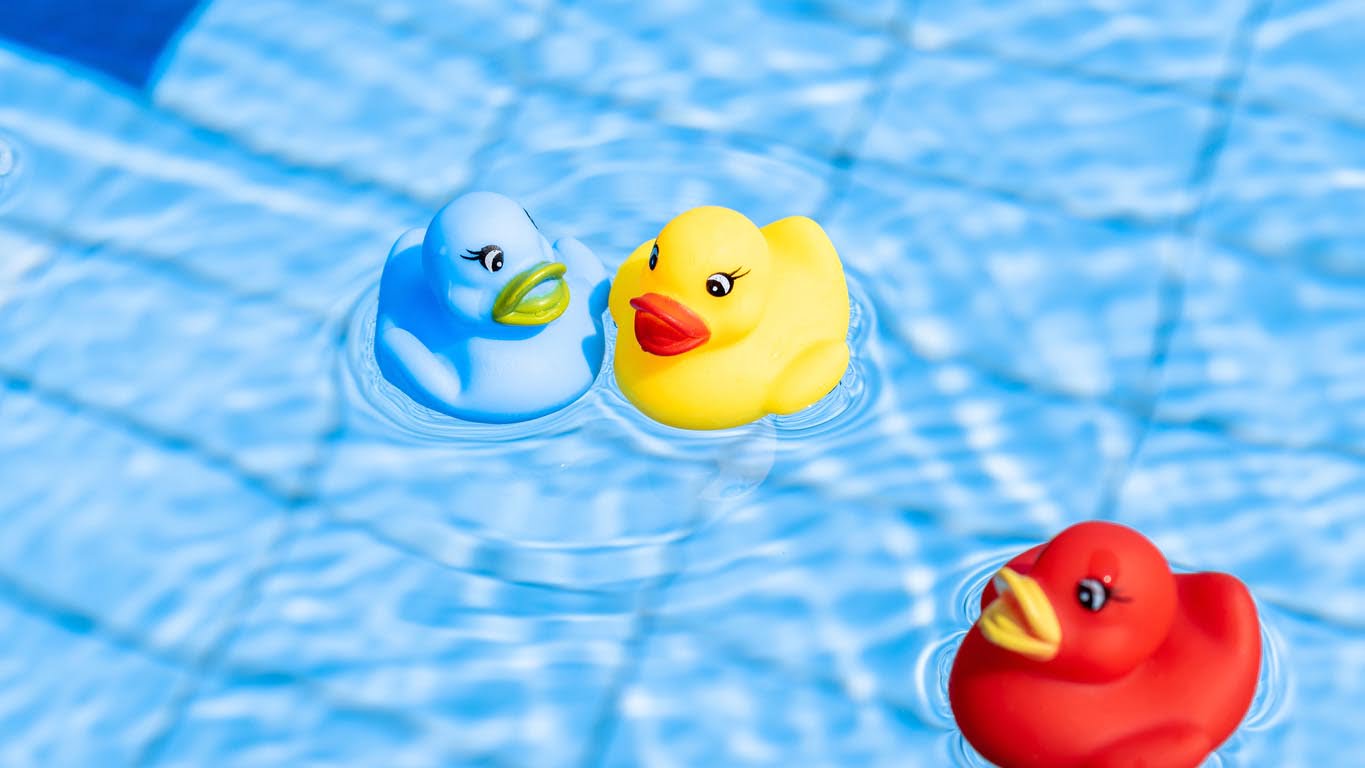 Canard en caoutchouc dans la piscine pour jouer