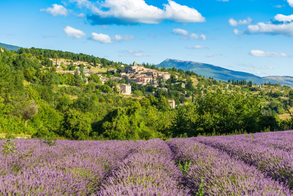 Champs de lavande en fleurs et village d’Aurel en arrière-plan à Vaucluse, Provence-Alpes-Côte d’Azur, France