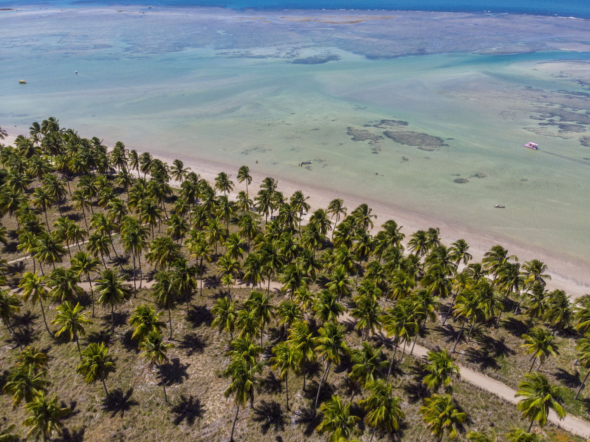 plage paradisiaque - Praia de São Miguel dos Milagres, Alagoas