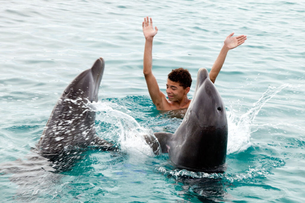 Heureux avec les dauphins