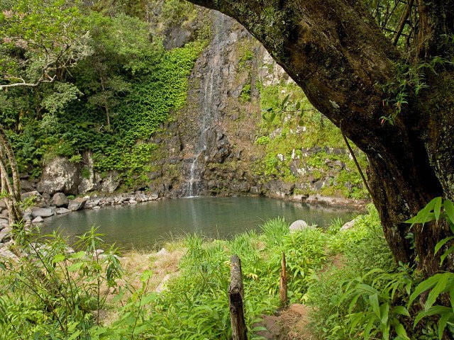 Cascade Maniquet Saint Denis Reunion