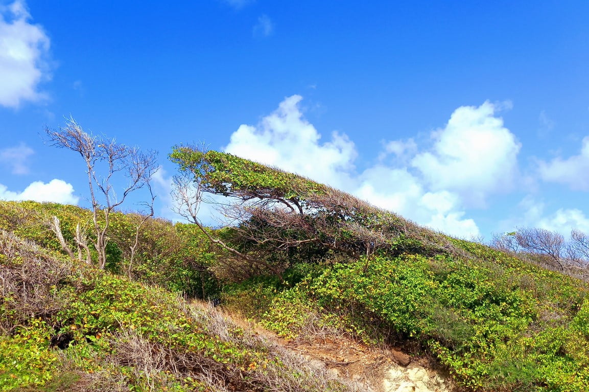 Parc Régional Martinique