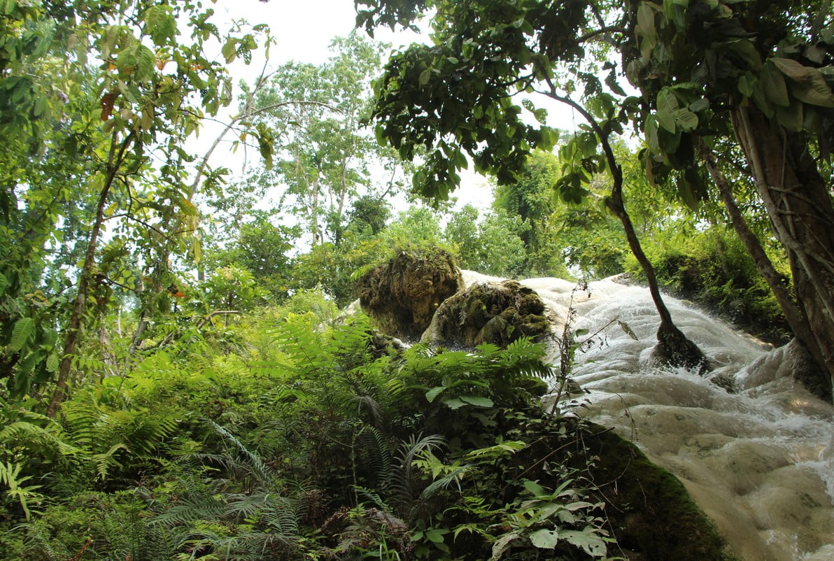Bua Thong Cascade